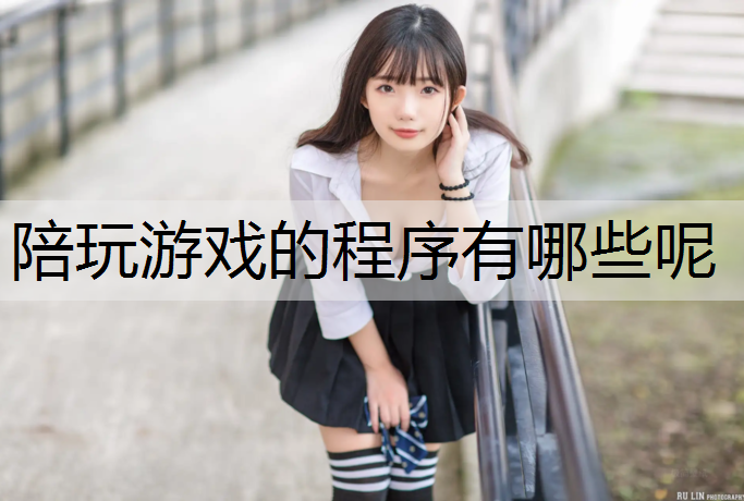 陪玩游戏的程序有哪些呢