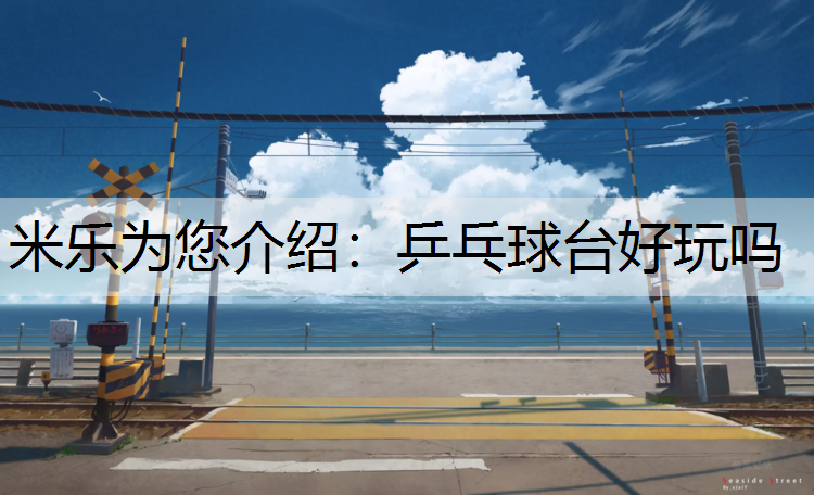 <strong>米乐为您介绍：乒乓球台好玩吗</strong>