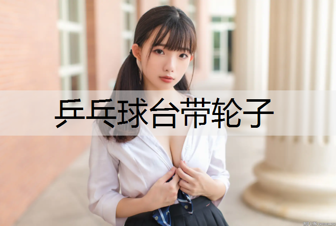 乒乓球台带轮子
