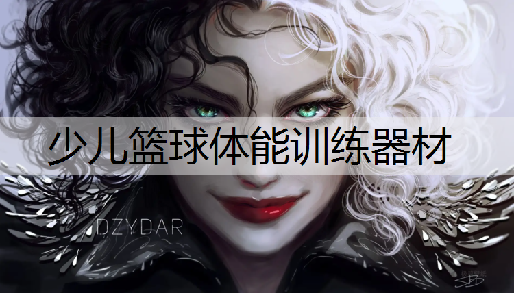 <strong>少儿篮球体能训练器材</strong>