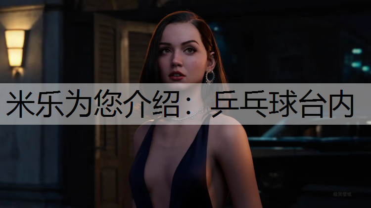 乒乓球台内