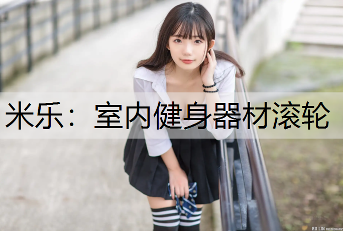 室内健身器材滚轮