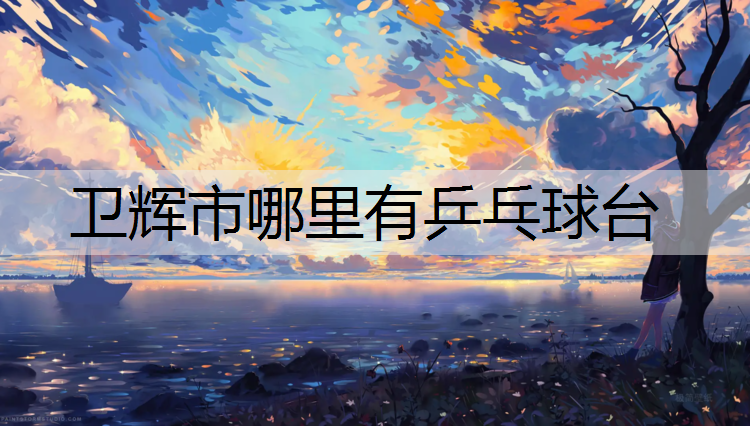 卫辉市哪里有乒乓球台