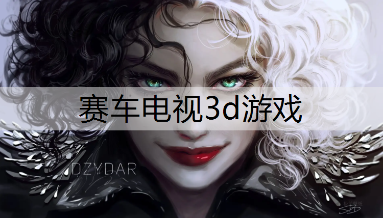 赛车电视3d游戏