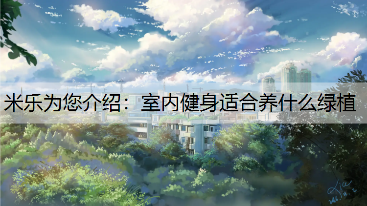 室内健身适合养什么绿植