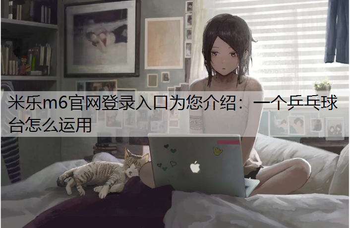 一个乒乓球台怎么运用