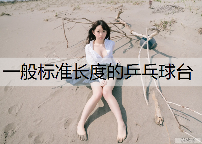 一般标准长度的乒乓球台
